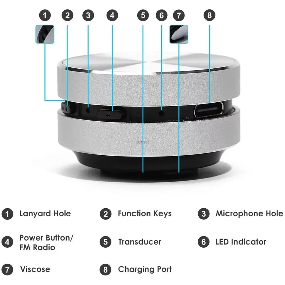 Bone Conduction Hummingbird Speaker