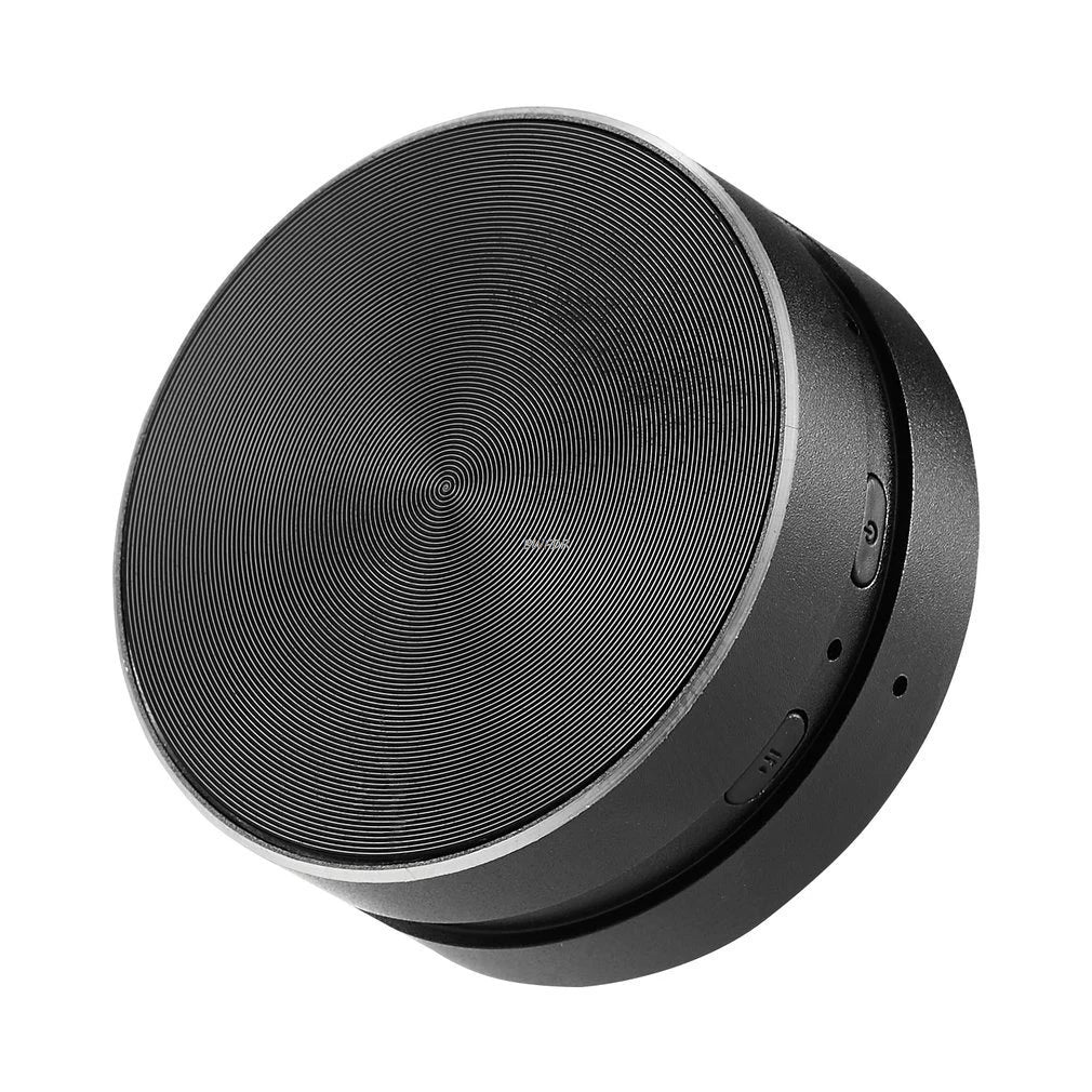 Bone Conduction Hummingbird Speaker