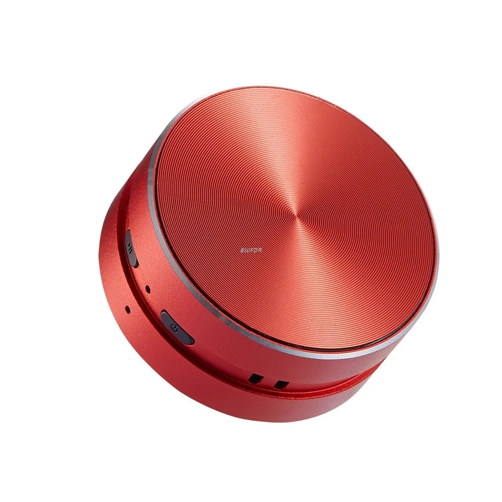 Bone Conduction Hummingbird Speaker
